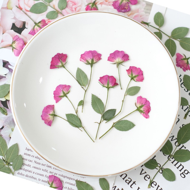 12pcs,Real Mini Rose Pressed F - Resin Art Rose Petals 评论和价格