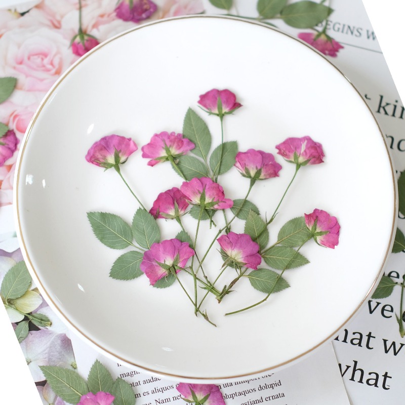 12pcs,Real Mini Rose Pressed F - Resin Art Rose Petals 评论和价格