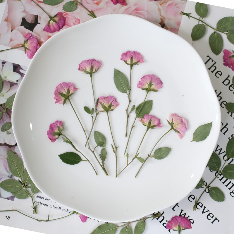 12pcs,Real Mini Rose Pressed F - Resin Art Rose Petals 评论和价格