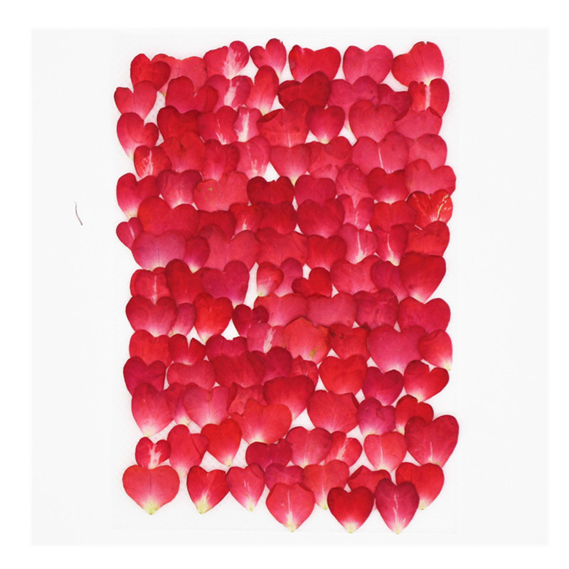 120Pcs Rose Petals Mixed Pack, - Resin Art Rose Petals 评论和价格