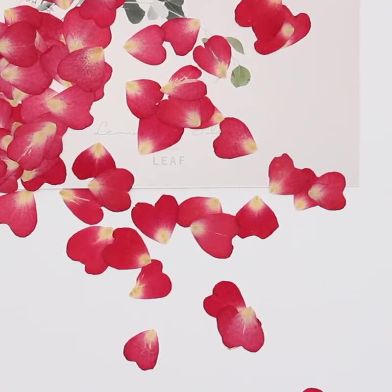 120Pcs Rose Petals Mixed Pack, - Resin Art Rose Petals 评论和价格