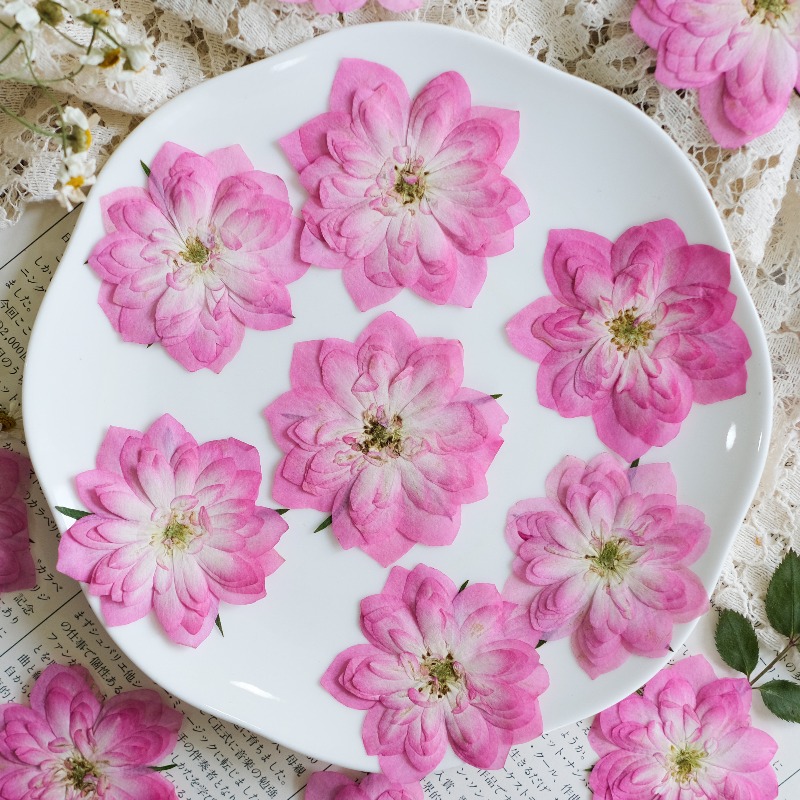 6pcs,Natural Rose Lotus Presse - Resin Art Rose Petals 评论和价格